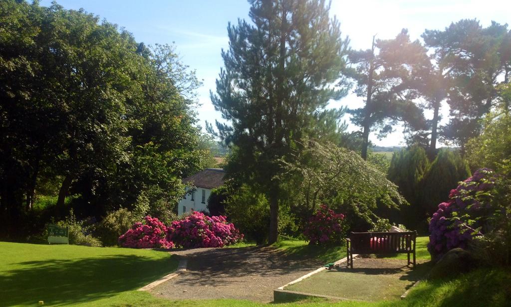 Priskilly Forest Country House Fishguard Oda fotoğraf