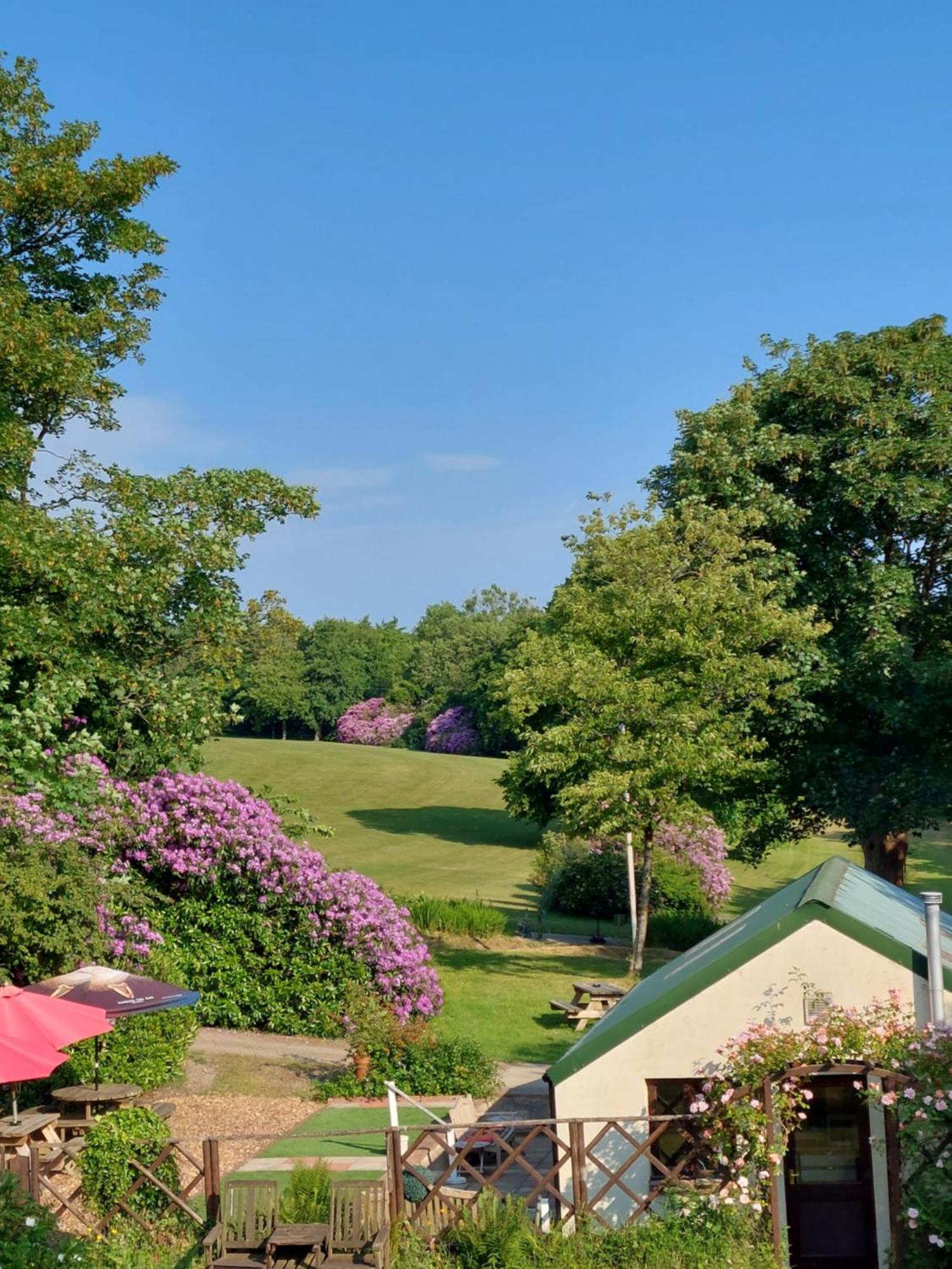 Priskilly Forest Country House Fishguard Dış mekan fotoğraf